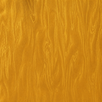 Marbled Yellow