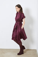 CLYDE plum - scarf dress